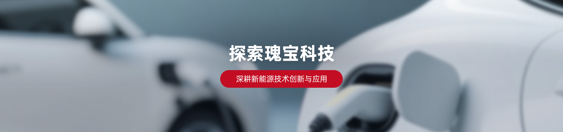 走进瑰宝